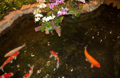 photo 284678