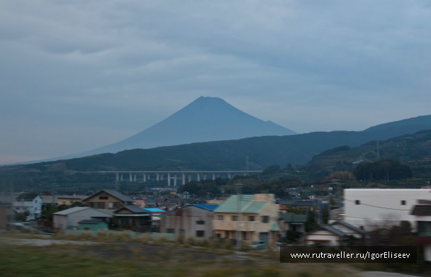 photo 307694
