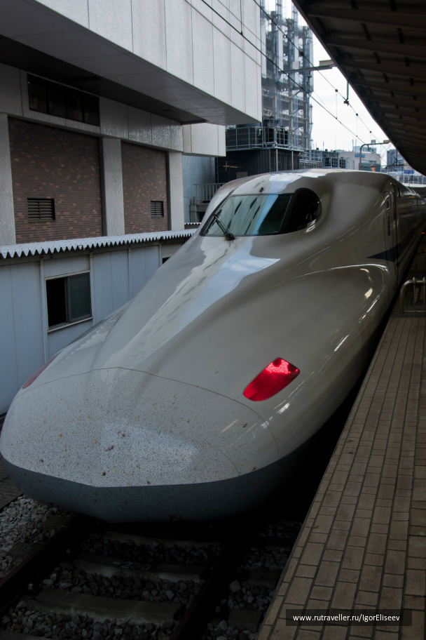 photo 307700