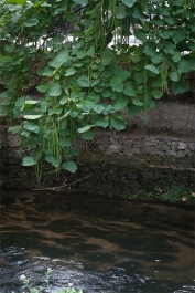photo 865071