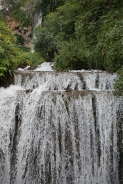 photo 865079