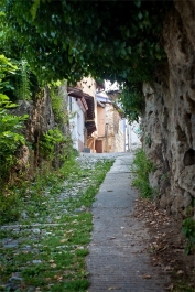 photo 870626