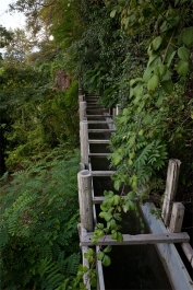photo 870632