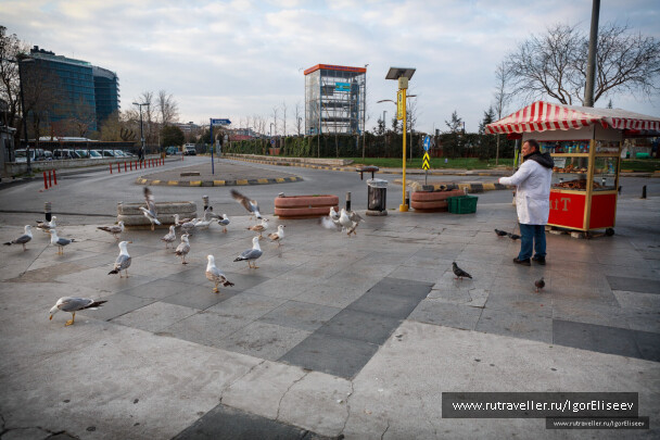 photo 1936259