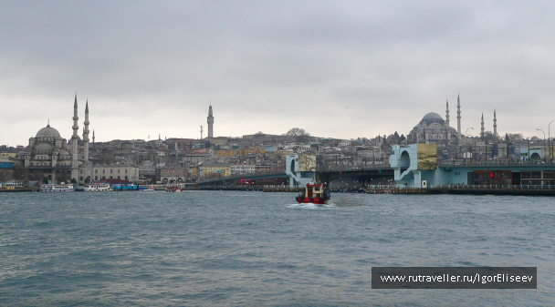 photo 293962