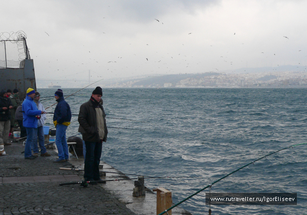 photo 293963