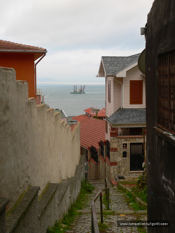 photo 293965