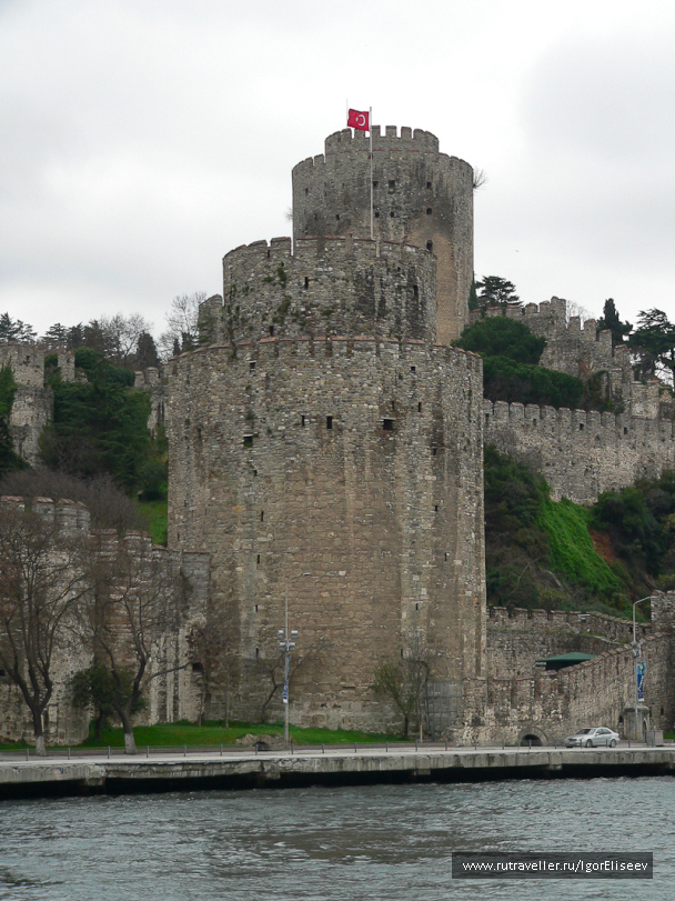photo 293968
