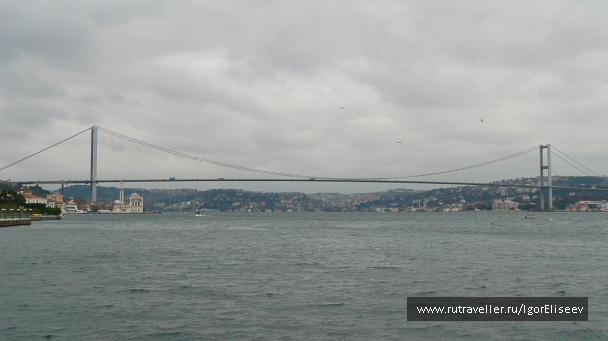 photo 293971