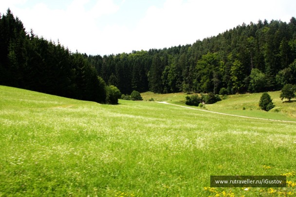 photo 1364825