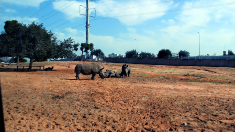 photo 637725