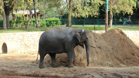 photo 637739