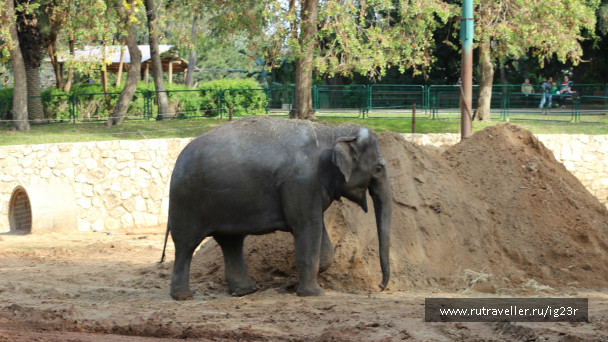 photo 637739