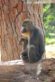 photo 637741