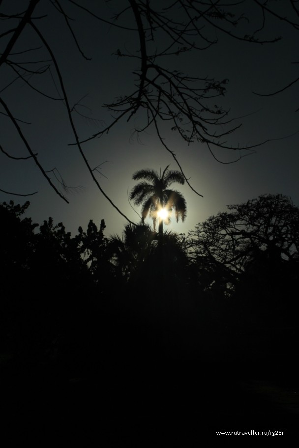 photo 750393