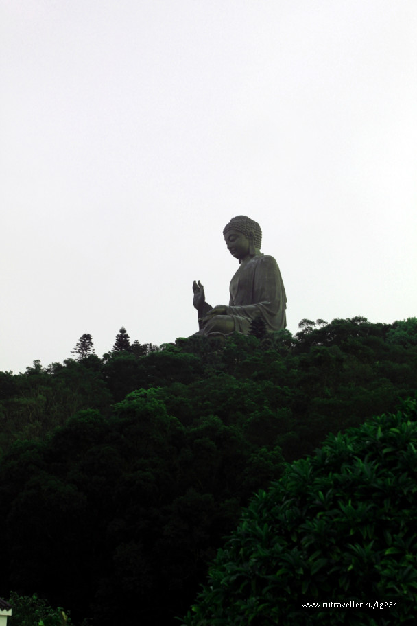 photo 1005340