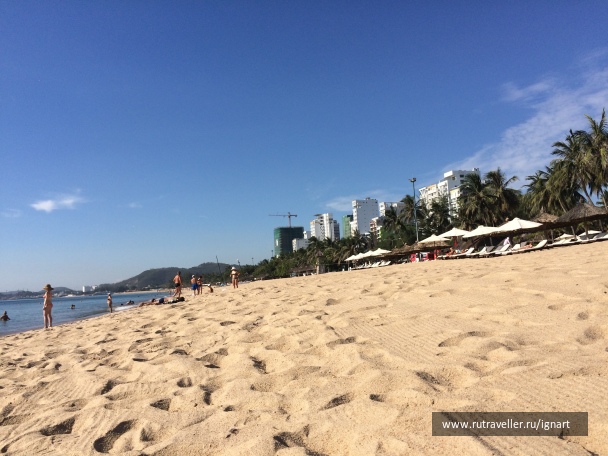 photo 1464154