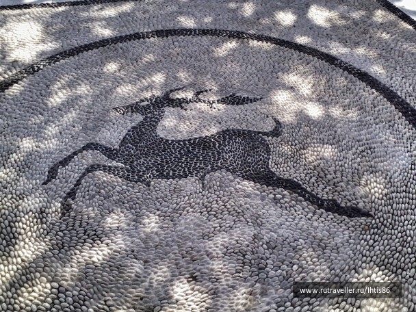 photo 1093802