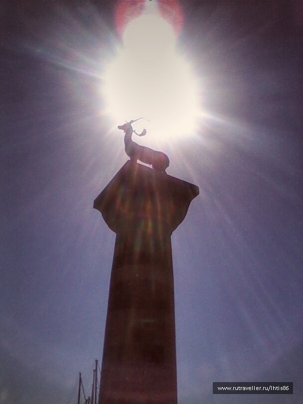 photo 1093804
