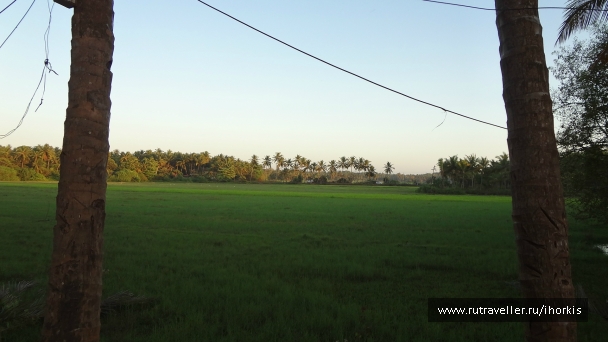 photo 847565