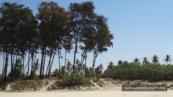 photo 847567