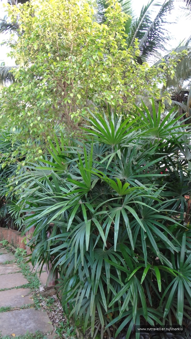 photo 847571