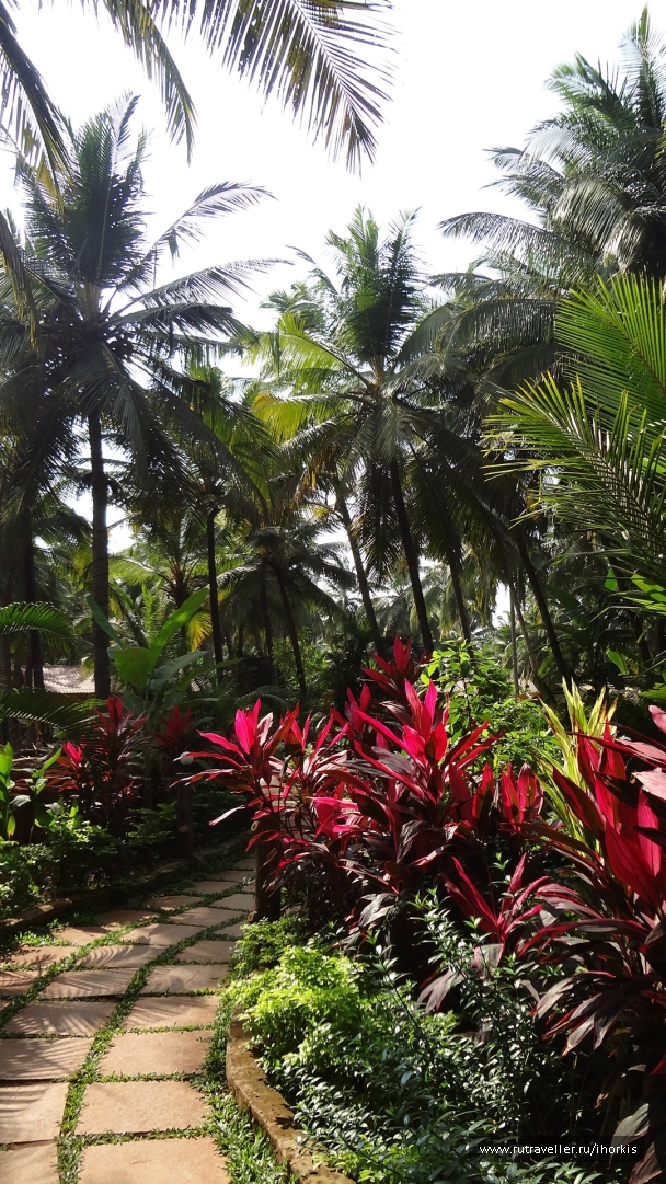 photo 847573