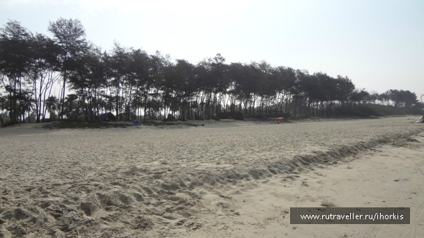 photo 847596