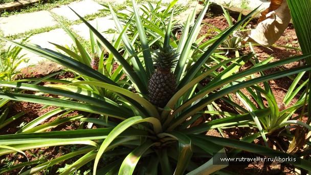 photo 847613