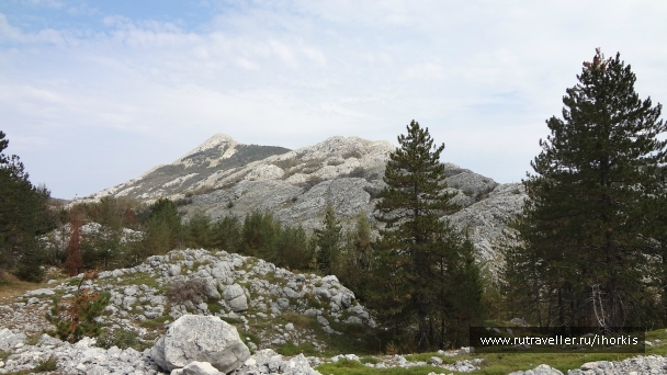 photo 807487