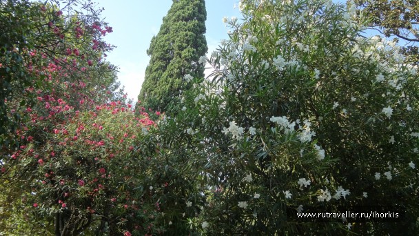 photo 807497