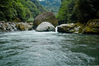 photo 738595
