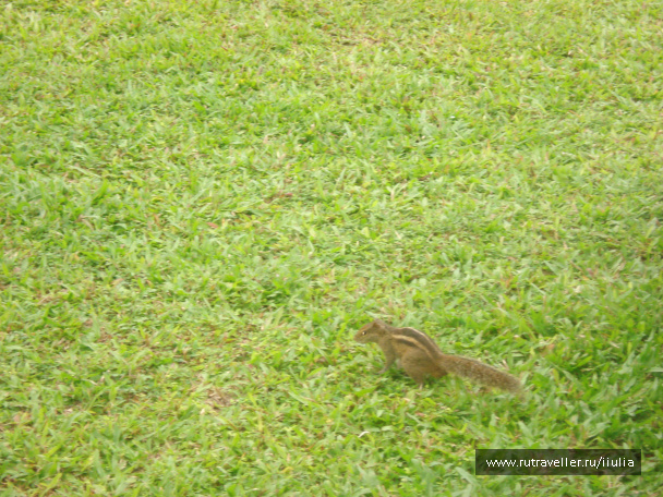 photo 185993