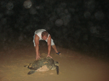 photo 342064
