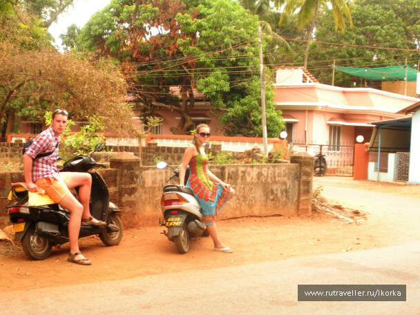 photo 23978