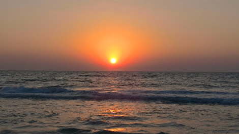 photo 1388665