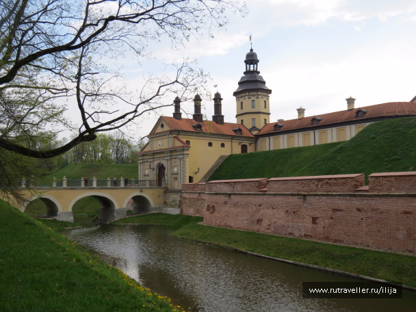 photo 1229426