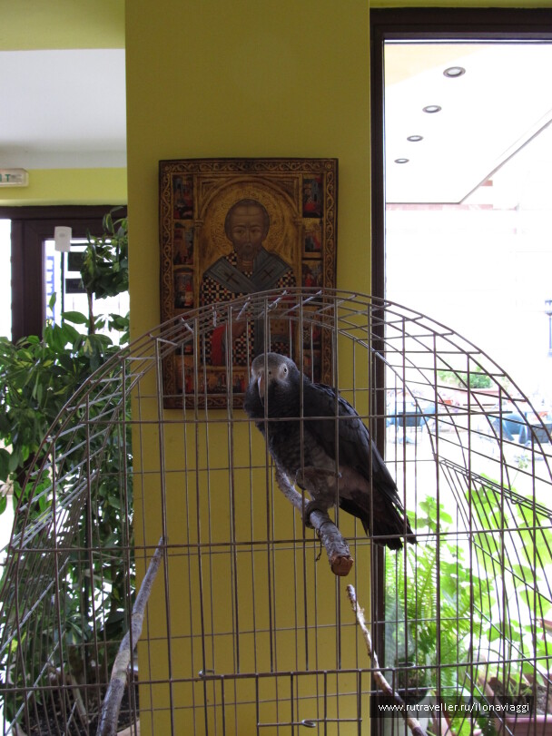 photo 1108743