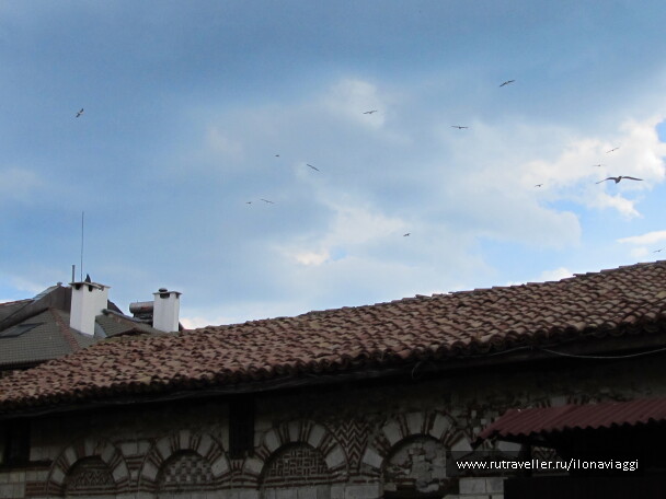 photo 1108764