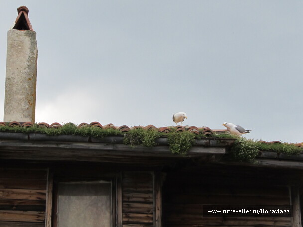 photo 1108770