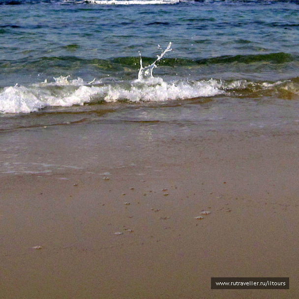 photo 314734