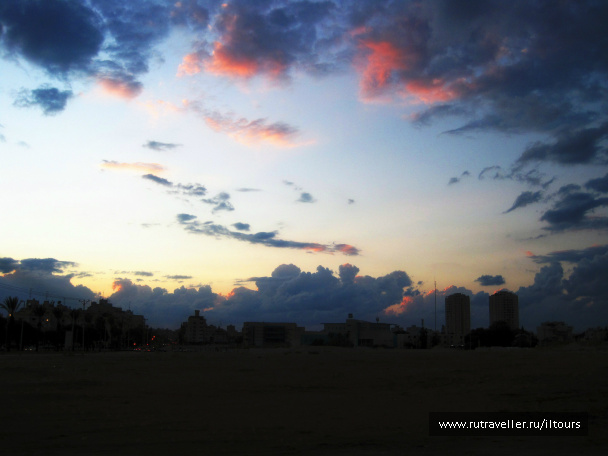 photo 317175