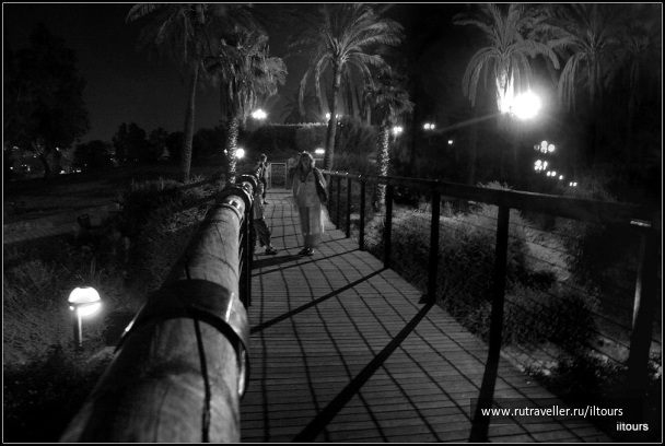 photo 486410