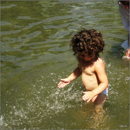 photo 435435