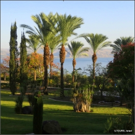 photo 918616