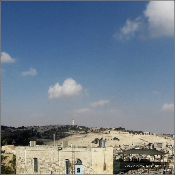 photo 897307