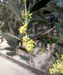photo 314545