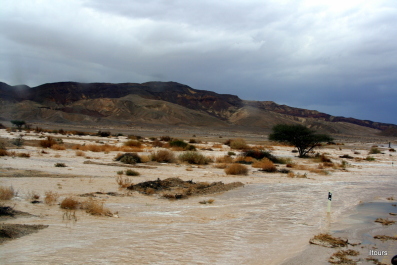 photo 320023