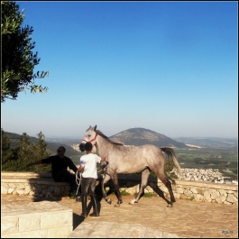 photo 879849