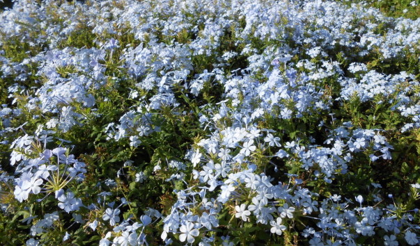 1-DSCN0094